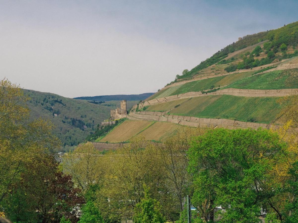 Rheinufer Am Hindenburgpark Bingen am Rhein Exterior foto