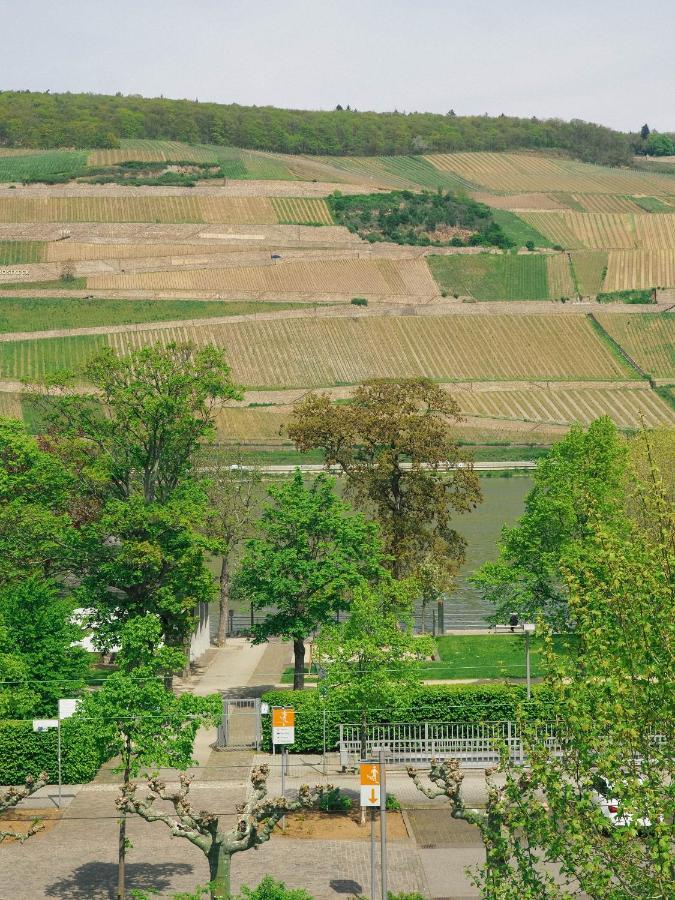 Rheinufer Am Hindenburgpark Bingen am Rhein Exterior foto